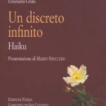 Discreto infinito - copertina