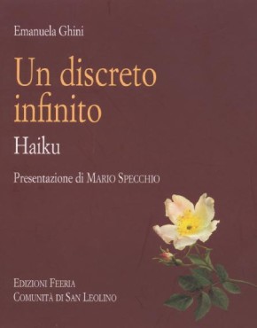 Discreto infinito - copertina