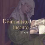 Disincanto incanto - copertina