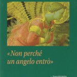 non-perche-un-angelo-entro